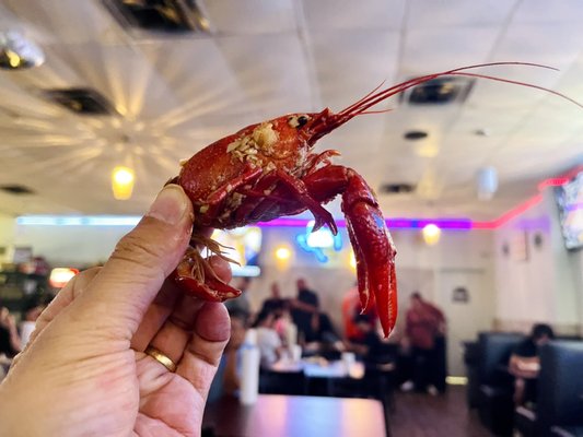 Mike's Seafood by null