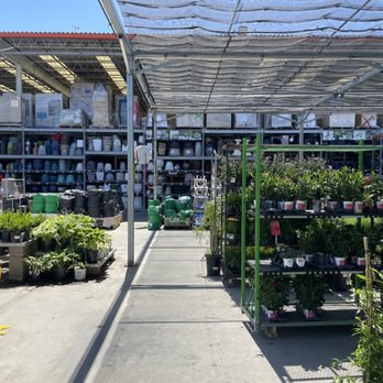 The Home Depot - Pots and plants - Nurseries & Gardening Near Me - Sacramento, California