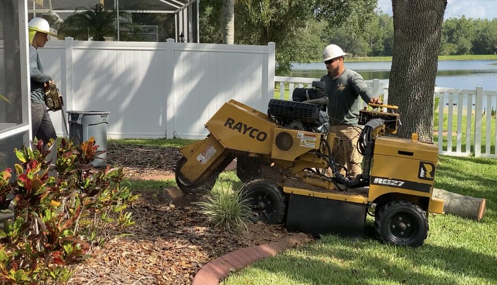 Juan Sanchez Tree Service - tree service in Shady Hills, FL