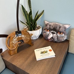 Albuquerque Cat Clinic - Waiting room decor.