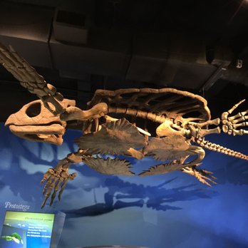 McWane Science Center - Museums Near Me - Birmingham, Alabama McWane Science Center - Museums Near Me - Birmingham, Alabama
