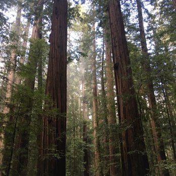 Humboldt Redwoods State Park - Parks Near Me - Weott, California Humboldt Redwoods State Park - Parks Near Me - Weott, California