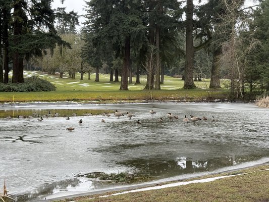 Glendoveer Golf & Tennis by null