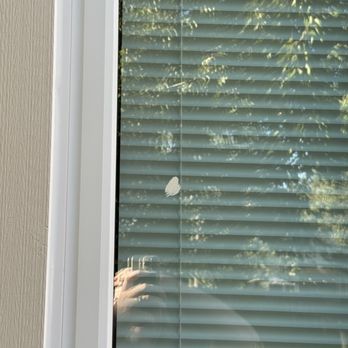 That 1 Painter - Painters Near Me - Austin, Texas That 1 Painter - Painters Near Me - Austin, Texas