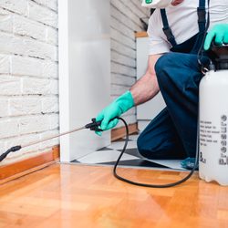 Dales pest control