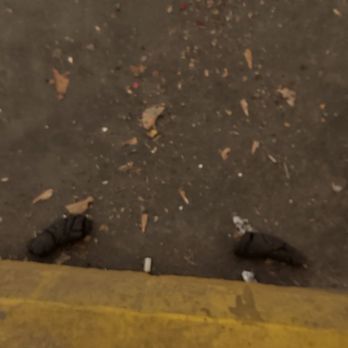 Tran's Landscaping & Gardening - after they left .. to pieces of  feces. and still garbage around it. - Landscaping Near Me