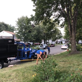 Stringfellow's Tree Service - Cleaning up - Tree Services Near Me - Amissville, Virginia
