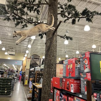 Cabela's - The jumping cougar - a staple attraction - Outdoor Gear Near Me - Wichita, Kansas