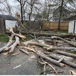 J.B. Tree Services - Before cleanup