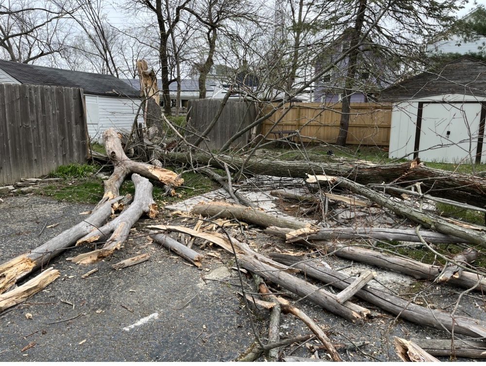 J.B. Tree Services - tree service in Cincinnati, OH