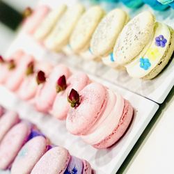 The Dessert Junkie - Macarons
