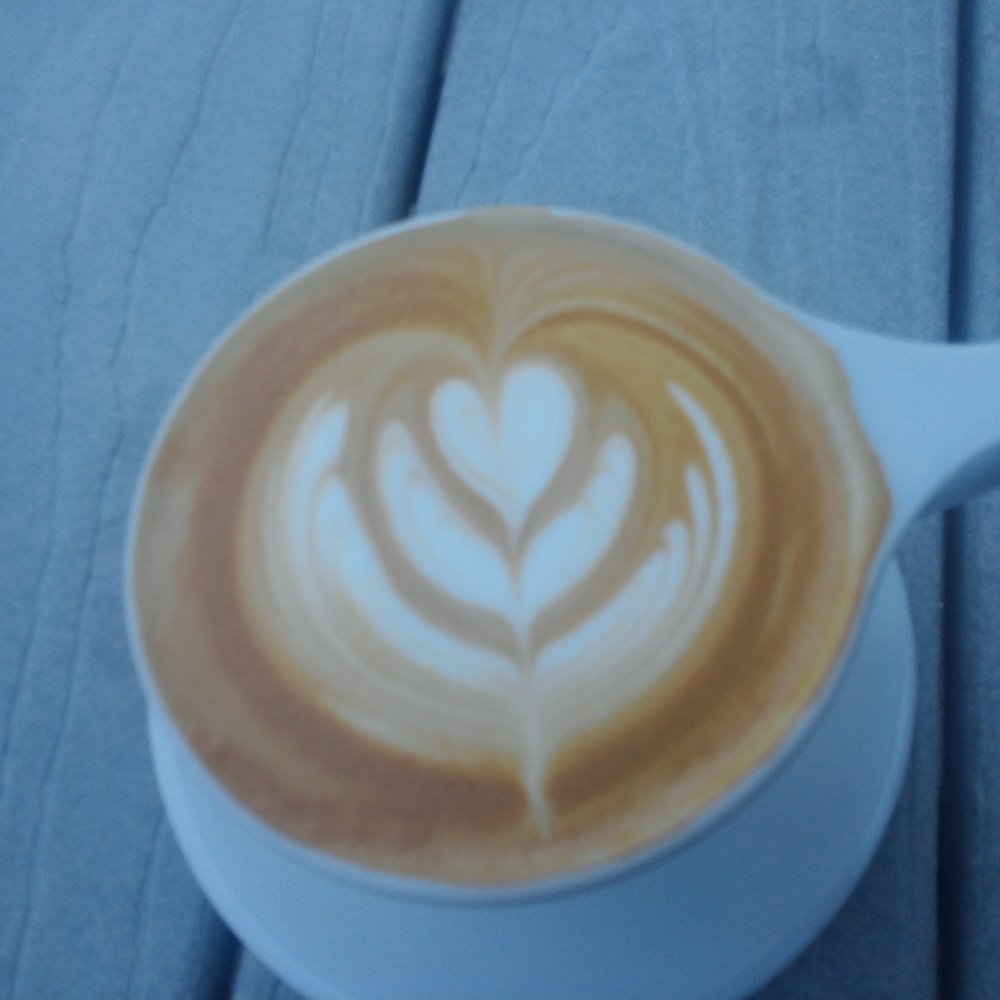 Hub Coffee Roasters - Another awesome latte - Coffee Roasteries Near Me - Reno, Nevada Hub Coffee Roasters - Another awesome latte - Coffee Roasteries Near Me - Reno, Nevada