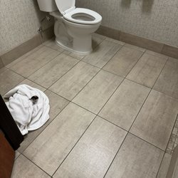 Holiday Inn Express Madera-Yosemite Pk Area - Restroom not clean