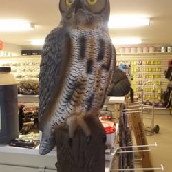 Andover Hunt and Fish - Owl Decoy