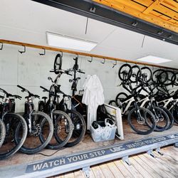Bike rentals