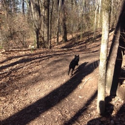 Running along the trail in January Running along the trail in January