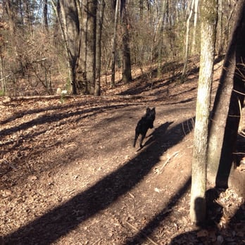 William A. Pitts Park - Running along the trail in January - Dog Parks Near Me - Antioch, Tennessee William A. Pitts Park - Running along the trail in January - Dog Parks Near Me - Antioch, Tennessee