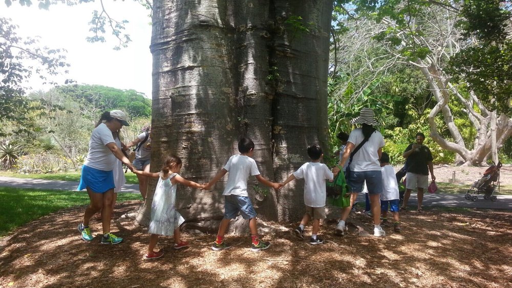 Saint Matthew's Cooperative Preschool - childcare center in Miami, FL