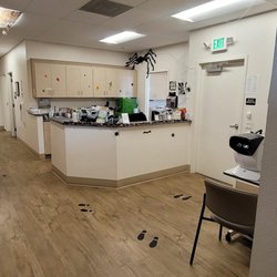 Peach Tree Live Oak - Large picture of clinic at Halloween time.