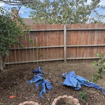 Padilla Tree Service - Not even a trace of that giant tree that was in the backyard. - Tree Services Near Me Padilla Tree Service - Not even a trace of that giant tree that was in the backyard. - Tree Services Near Me