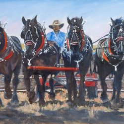 Bluerock Gallery - 4 Percherons seeding the soil at the Bar U Ranch.