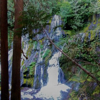 Panther Creek Falls - Close enough to Carson, and a short enough walk to return to, bringing visitors - Hiking Near Me - Carson, Washington Panther Creek Falls - Close enough to Carson, and a short enough walk to return to, bringing visitors - Hiking Near Me - Carson, Washington