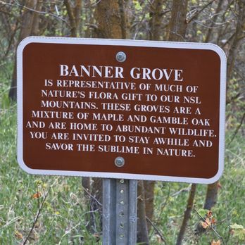 Banner Grove - Hiking Near Me Banner Grove - Hiking Near Me