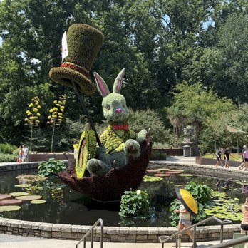 Atlanta Botanical Garden - Mad Hatter - Botanical Gardens Near Me - Atlanta, Georgia Atlanta Botanical Garden - Mad Hatter - Botanical Gardens Near Me - Atlanta, Georgia