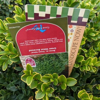 The Garden Factory - Nurseries & Gardening Near Me - Rochester, New York