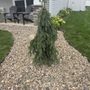 Hoot Landscape & Design