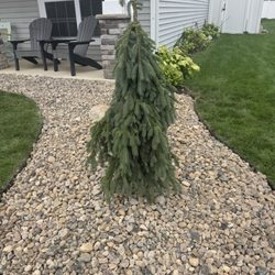 Hoot Landscape & Design - Front yard work