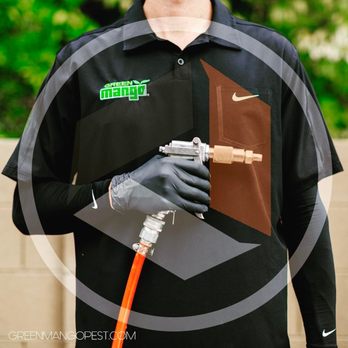 Green Mango Pest Control - Pest Control Near Me - Chandler, Arizona