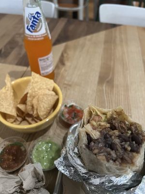 The Little Chihuahua by null