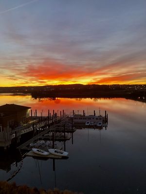 Dock 79 by null