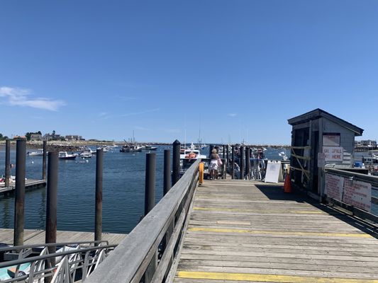 Rye Harbor Lobster Pound by null