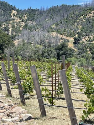 Hourglass Winery by null