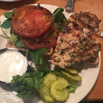 Pub Bricco - Grilled chicken sandwich- It was decent outside of the multi-grain ciabatta roll, which I wasn't a fan of. - Pubs Near Me - Akron, Ohio