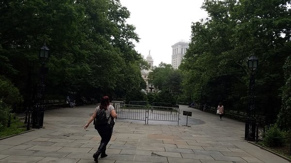 City Hall Park Greenmarket by null