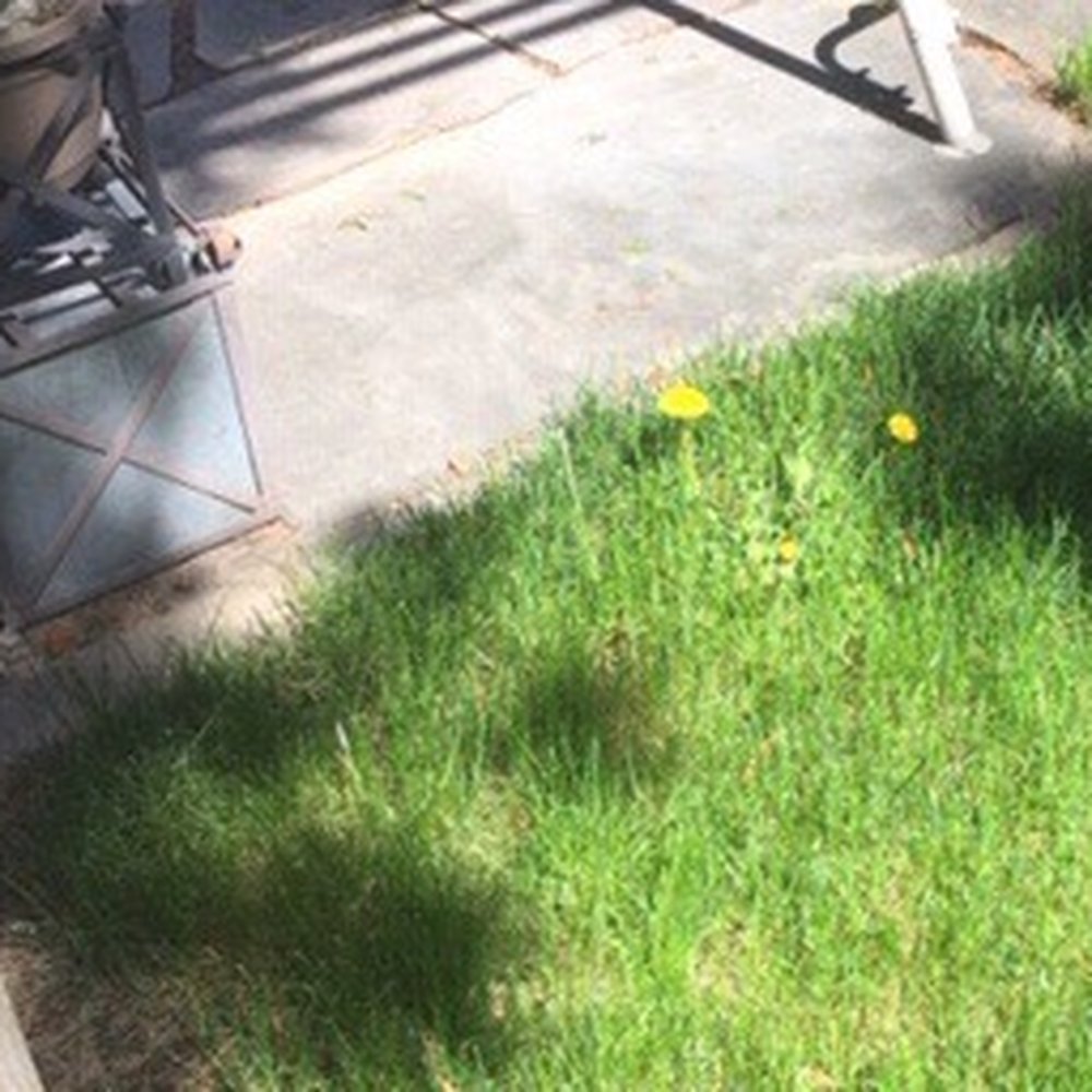 All Pro Lawn Service - More excellent care.....service paid for, but not provided. Unethical and sloppy, at the very least. - Snow Removal Near Me - Boise, Idaho All Pro Lawn Service - More excellent care.....service paid for, but not provided. Unethical and sloppy, at the very least. - Snow Removal Near Me - Boise, Idaho