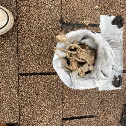 Coker Plumbing & Septic