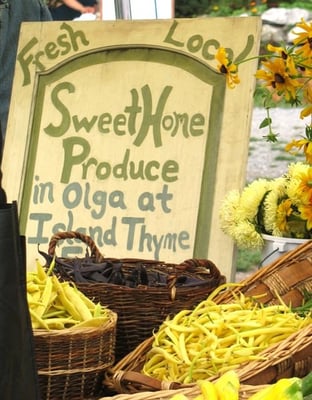 Orcas Island Farmer's Market by null