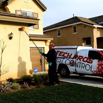 Tech Pros Pest Control, Inc - John getting all the cobwebs down. - Pest Control Near Me Tech Pros Pest Control, Inc - John getting all the cobwebs down. - Pest Control Near Me