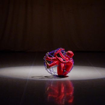DanceVisions - Dance Schools Near Me - Palo Alto, California DanceVisions - Dance Schools Near Me - Palo Alto, California