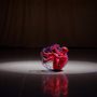 Photo of DanceVisions