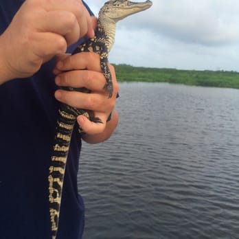 Airboat Adventures - Boat Tours Near Me - Lafitte, Louisiana