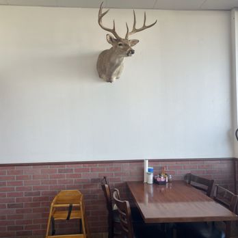 Tortilleria Krystal - Deer looking at you while you eat Mexican food lol - Mexican Near Me - Austin, Texas Tortilleria Krystal - Deer looking at you while you eat Mexican food lol - Mexican Near Me - Austin, Texas