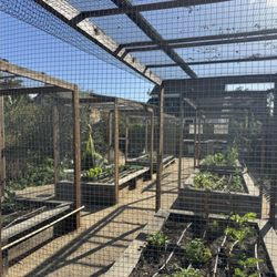 Veggielution - Farm