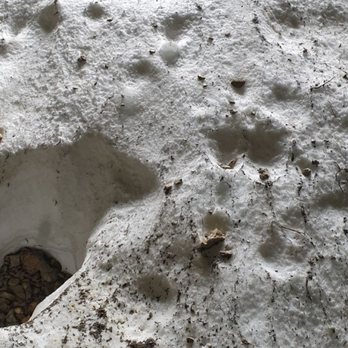 Wendelsteinhöhle - Schnee in der Wendelsteinhöhle - Hiking Near Me
