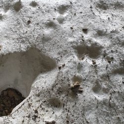 Wendelsteinhöhle - Schnee in der Wendelsteinhöhle