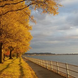 East Potomac Park - Last light at sunset